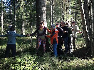Wachsen als Gruppe
